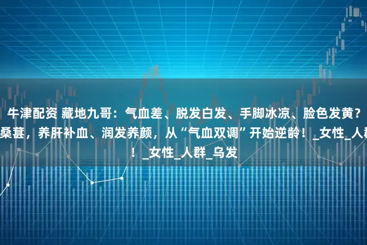 牛津配资 藏地九哥：气血差、脱发白发、手脚冰凉、脸色发黄？虫草 + 桑葚，养肝补血、润发养颜，从“气血双调”开始逆龄！_女性_人群_乌发
