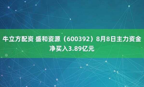 牛立方配资 盛和资源（600392）8月8日主力资金净买入3.89亿元