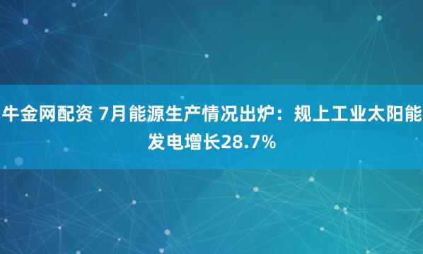 牛金网配资 7月能源生产情况出炉：规上工业太阳能发电增长28.7%