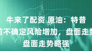 牛来了配资 原油：特普会之前不确定风险增加，盘面走势略强